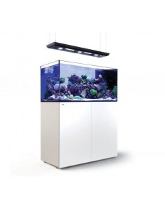 Aquários Reefer Peninsula Deluxe 2