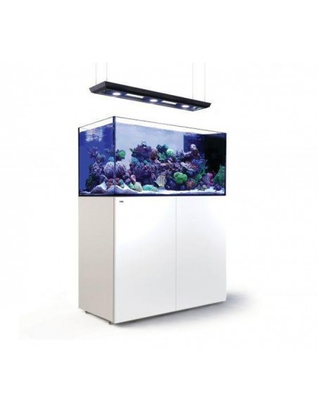 Aquários Reefer Peninsula Deluxe