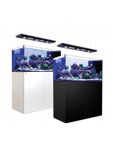 Aquários Reefer Peninsula Deluxe