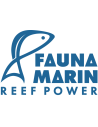 Fauna Marin